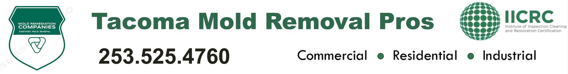 Tacoma Mold Removal Pros